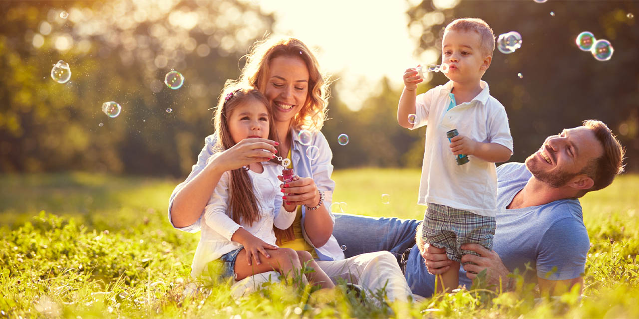 Life Insurance - Spring Box  - koinsurance.com